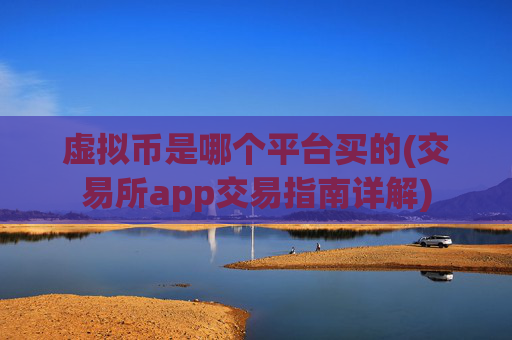 虚拟币是哪个平台买的(交易所app交易指南详解)
