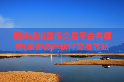 国外虚拟货币交易平台有哪些(加密资产软件交易界翘楚)