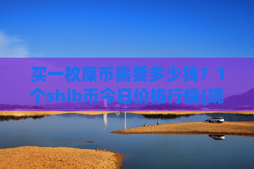 买一枚屎币需要多少钱？1个shib币今日价格行情(现价0.00021806元)