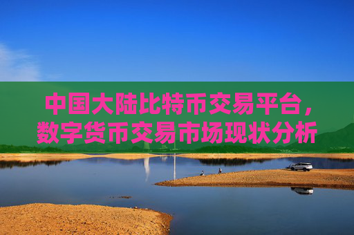 中国大陆比特币交易平台，数字货币交易市场现状分析