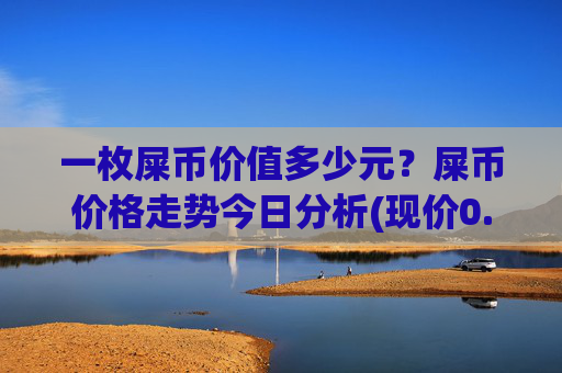 一枚屎币价值多少元？屎币价格走势今日分析(现价0.00016019元)