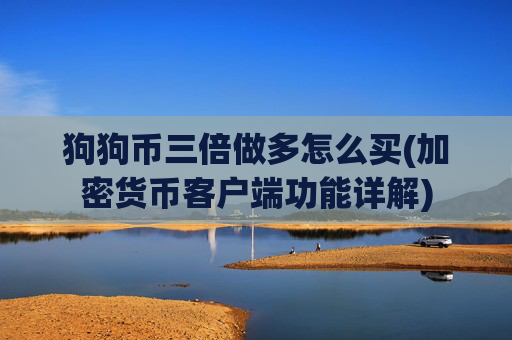 狗狗币三倍做多怎么买(加密货币客户端功能详解)