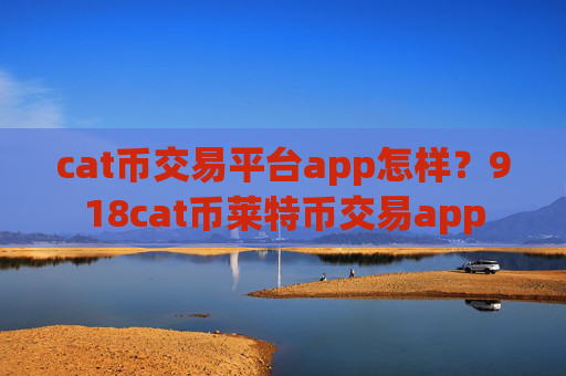 cat币交易平台app怎样？918cat币莱特币交易app