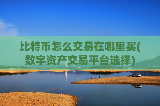 比特币怎么交易在哪里买(数字资产交易平台选择)