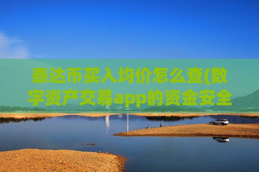 泰达币买入均价怎么查(数字资产交易app的资金安全)