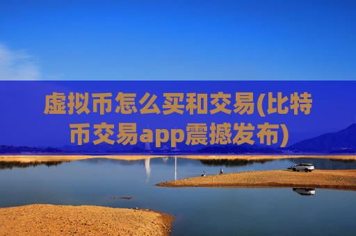 虚拟币怎么买和交易(比特币交易app震撼发布)