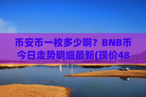 币安币一枚多少啊？BNB币今日走势明细最新(现价4863.11元)