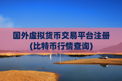 国外虚拟货币交易平台注册(比特币行情查询)