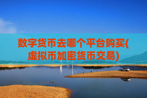 数字货币去哪个平台购买(虚拟币加密货币交易)