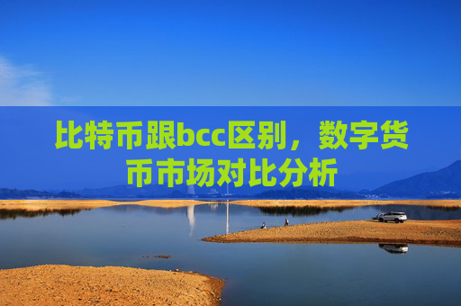 比特币跟bcc区别，数字货币市场对比分析