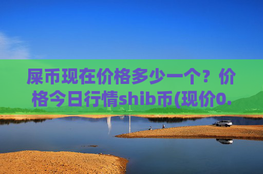 屎币现在价格多少一个?价格今日行情shib币(现价0.00021615元)