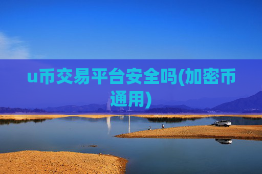 u币交易平台安全吗(加密币通用)