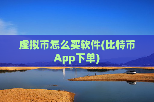 虚拟币怎么买软件(比特币App下单)