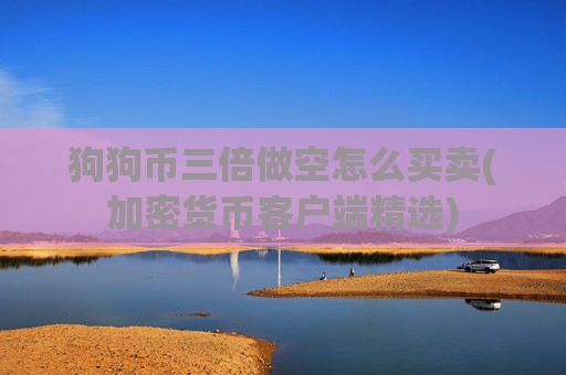 狗狗币三倍做空怎么买卖(加密货币客户端精选)