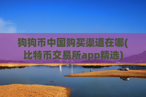 狗狗币中国购买渠道在哪(比特币交易所app精选)