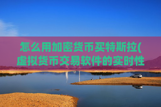 怎么用加密货币买特斯拉(虚拟货币交易软件的实时性)