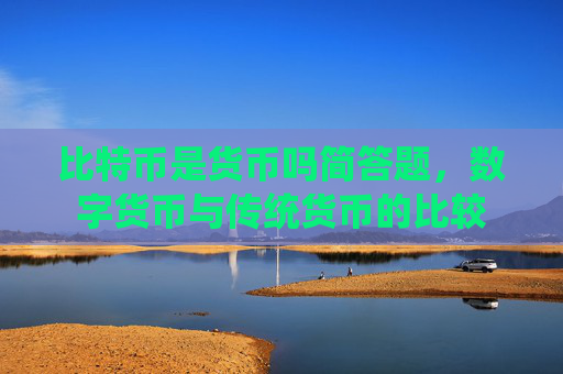 比特币是货币吗简答题，数字货币与传统货币的比较