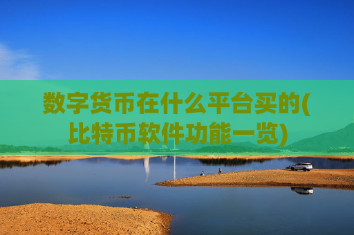数字货币在什么平台买的(比特币软件功能一览)