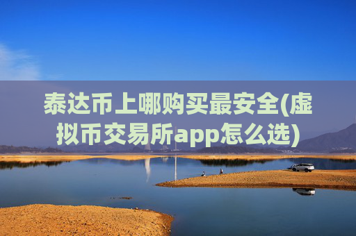 泰达币上哪购买最安全(虚拟币交易所app怎么选)