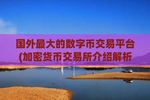 国外最大的数字币交易平台(加密货币交易所介绍解析)