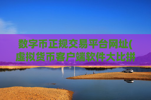 数字币正规交易平台网址(虚拟货币客户端软件大比拼)