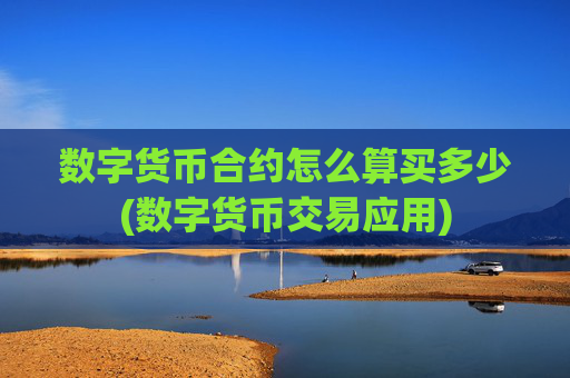 数字货币合约怎么算买多少(数字货币交易应用)