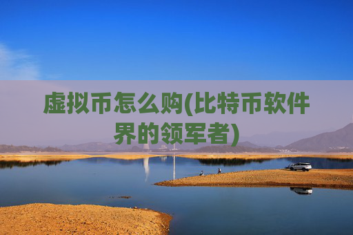 虚拟币怎么购(比特币软件界的领军者)
