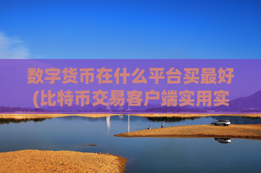 数字货币在什么平台买最好(比特币交易客户端实用实惠)