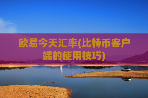 欧易今天汇率(比特币客户端的使用技巧)