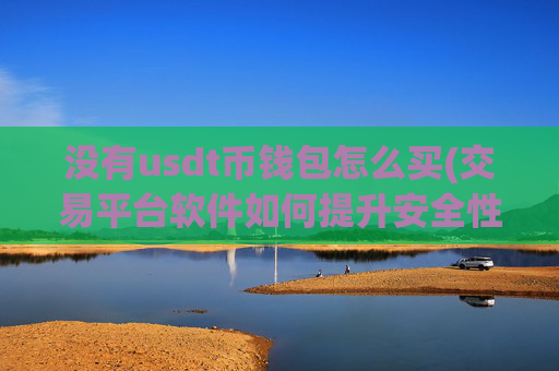 没有usdt币钱包怎么买(交易平台软件如何提升安全性)