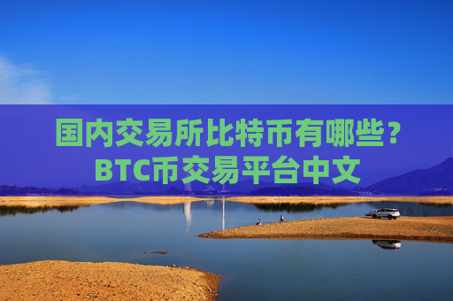 国内交易所比特币有哪些？BTC币交易平台中文