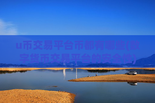 u币交易平台币都有哪些(数字货币交易平台的安全性)