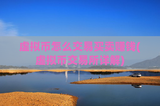 虚拟币怎么交易买卖赚钱(虚拟币交易所详解)