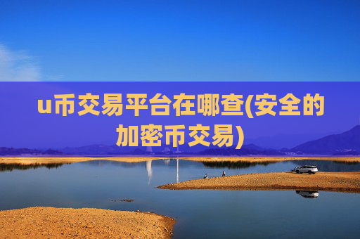 u币交易平台在哪查(安全的加密币交易)
