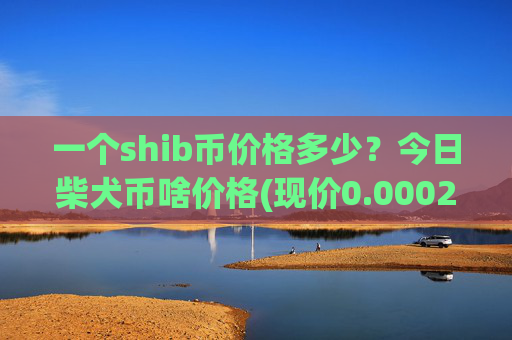 一个shib币价格多少？今日柴犬币啥价格(现价0.00021309元)