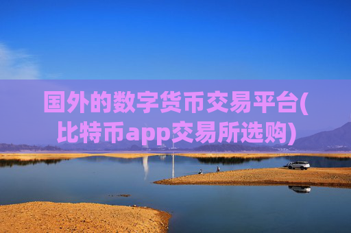 国外的数字货币交易平台(比特币app交易所选购)