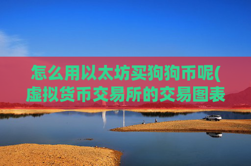 怎么用以太坊买狗狗币呢(虚拟货币交易所的交易图表)