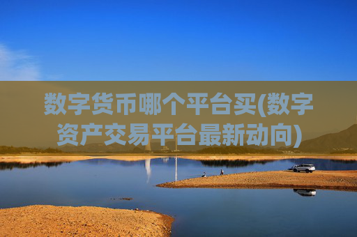 数字货币哪个平台买(数字资产交易平台最新动向)