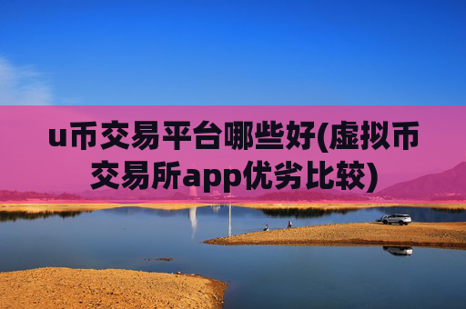 u币交易平台哪些好(虚拟币交易所app优劣比较)