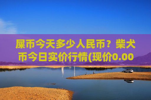 屎币今天多少人民币？柴犬币今日实价行情(现价0.00021634元)