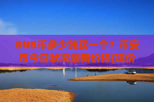 BNB币多少钱买一个？币安币今日状况最新价格(现价4845.01元)