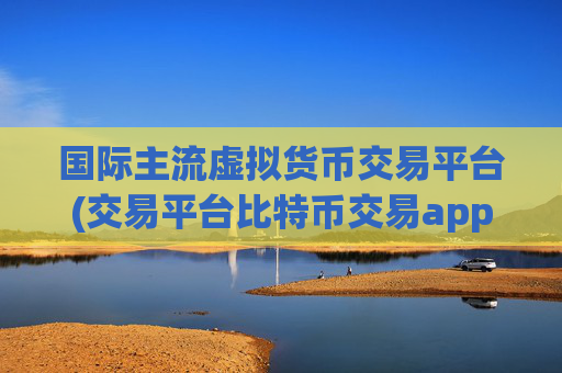 国际主流虚拟货币交易平台(交易平台比特币交易app)