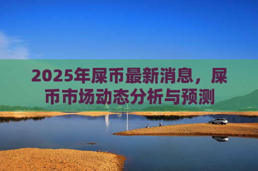 2025年屎币最新消息，屎币市场动态分析与预测