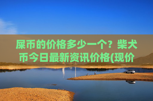 屎币的价格多少一个？柴犬币今日最新资讯价格(现价0.00021382元)