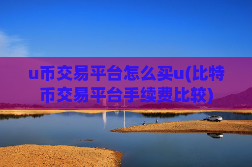 u币交易平台怎么买u(比特币交易平台手续费比较)