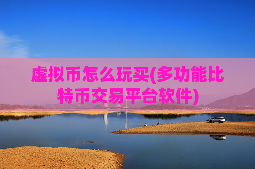 虚拟币怎么玩买(多功能比特币交易平台软件)
