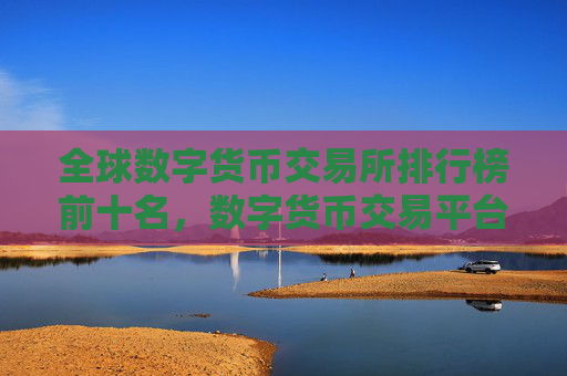全球数字货币交易所排行榜前十名，数字货币交易平台竞争力分析