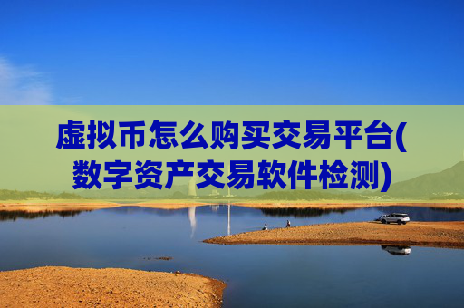 虚拟币怎么购买交易平台(数字资产交易软件检测)
