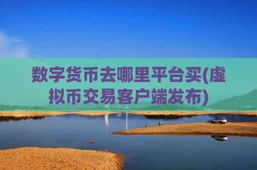 数字货币去哪里平台买(虚拟币交易客户端发布)