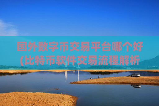 国外数字币交易平台哪个好(比特币软件交易流程解析)